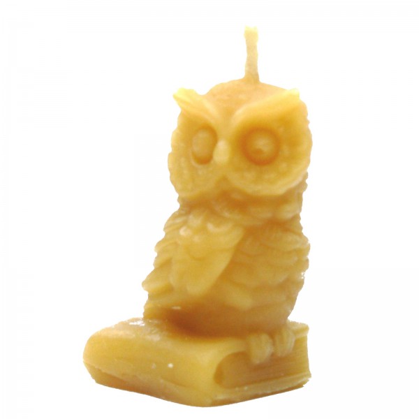Sowa na książce - świeca