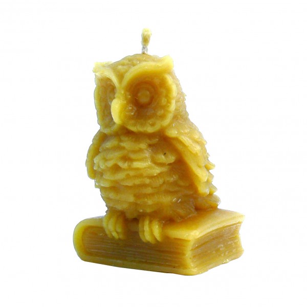 Sowa na książce duża - świeca