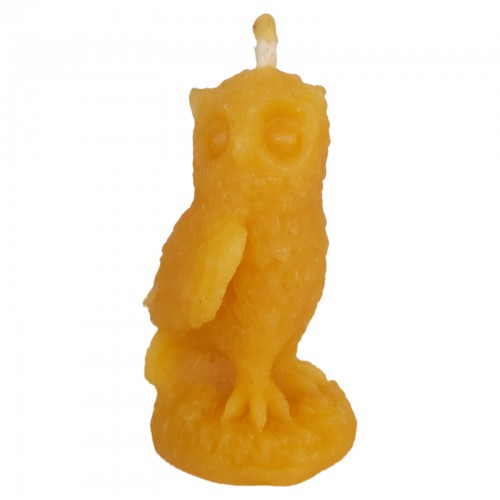 Sowa puszczyk - forma