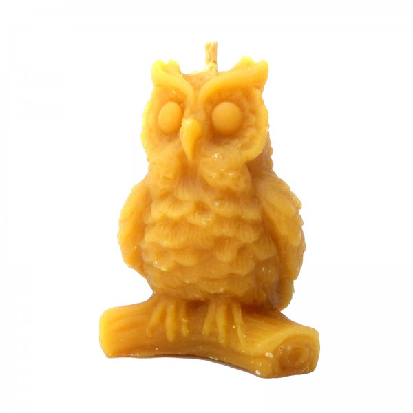 Sowa na gałęzi 2 - forma